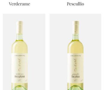 Vini Cantina Collevite – a Monsanpolo